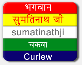 Sumatinath — 5th Tirthankara