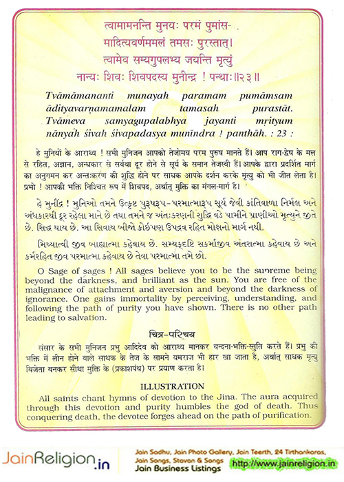 Bhaktamar Stotra Verse 23 — आलोकये तव विभोरतुलप्रभाव — Sacred Jain illustration
