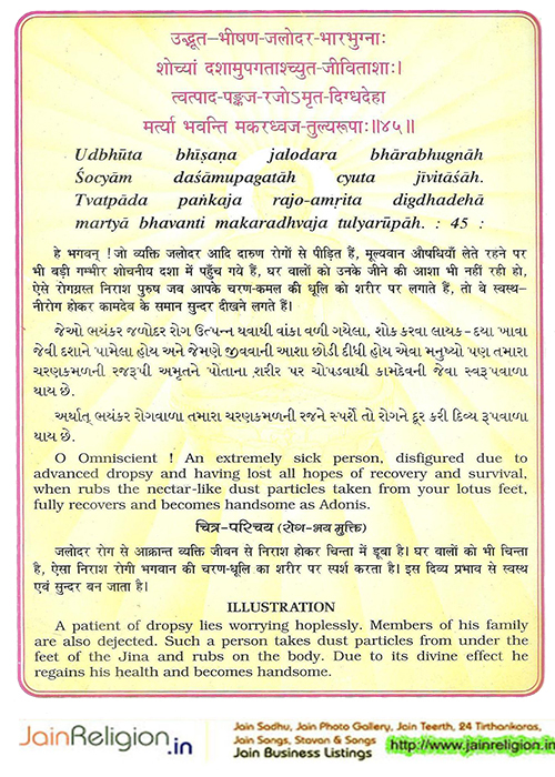 Bhaktamar Stotra Verse 43 — धन्याः स्म तेऽद्य भगवन्! भवदीयदर्शनात् — Sacred Jain illustration