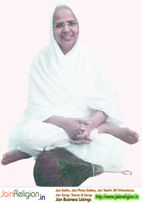 Aryika Chandnamati Mataji